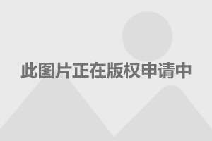 22324濠江论坛最新消息2025年+LT33.360_权威解释