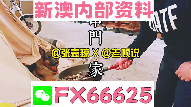 新澳门精准资料大全管家婆料+升级版41.271_精选解释落实